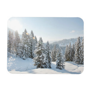 IJs en sneeuw   Allgäu Bavaria Zuid-Duitsland Magneet