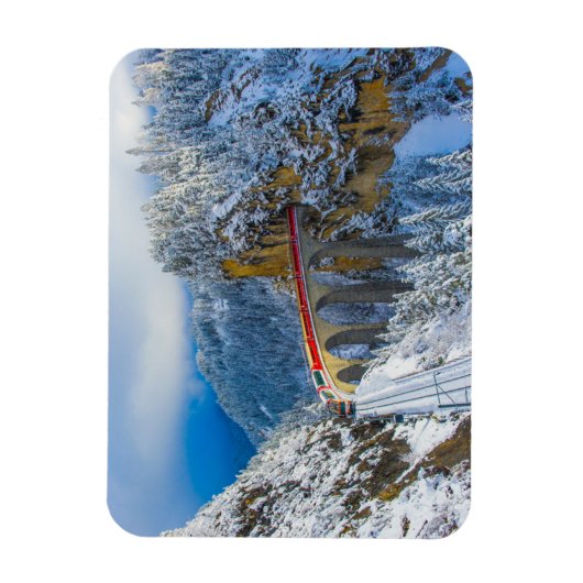IJs en sneeuw | Bernina Express, Zwitserland Magneet (Verticaal)