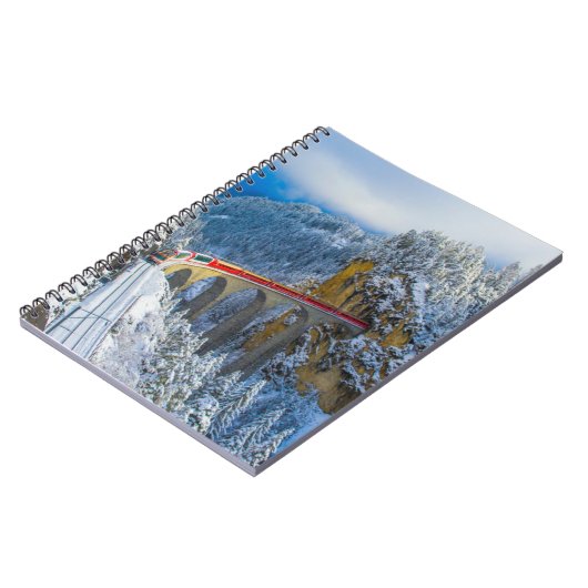 IJs en sneeuw | Bernina Express, Zwitserland Notitieboek (Linkerzijde)