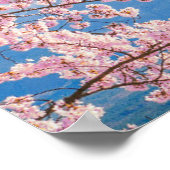 IJs en sneeuw | Cherry Blossom Mt. Fuji Japan Poster (Hoek)