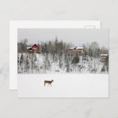 IJs en sneeuw | Deer in Snow Quebec, Canada Briefkaart (Voorkant / Achterkant)