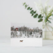 IJs en sneeuw | Deer in Snow Quebec, Canada Briefkaart (Staand voorkant)