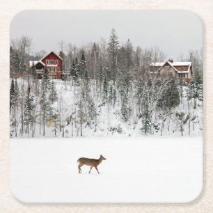 IJs en sneeuw Deer in Snow Quebec, Canada Kartonnen Onderzetters