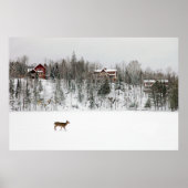 IJs en sneeuw | Deer in Snow Quebec, Canada Poster (Voorkant)