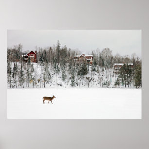 IJs en sneeuw   Deer in Snow Quebec, Canada Poster