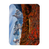 IJs en sneeuw | El Chalten, Argentinië Patagonia Magneet (Verticaal)