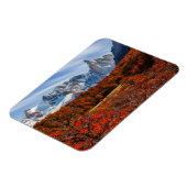 IJs en sneeuw | El Chalten, Argentinië Patagonia Magneet (Linkerzijde)