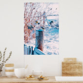 IJs en sneeuw | Grote Titmuis, Siberië, Rusland Poster (Keuken)