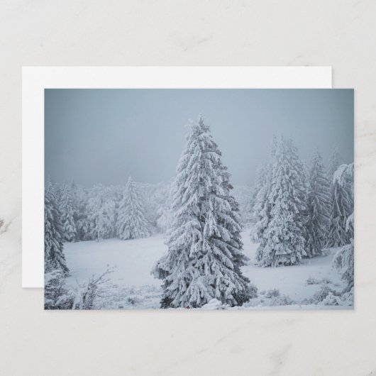 IJs en sneeuw | Hout, Zwitserse Alpen Bedankkaart (Voorkant / Achterkant)