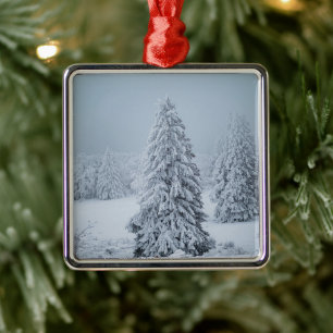 IJs en sneeuw Hout, Zwitserse Alpen Metalen Ornament
