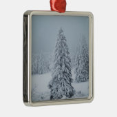 IJs en sneeuw | Hout, Zwitserse Alpen Metalen Ornament (Rechts)