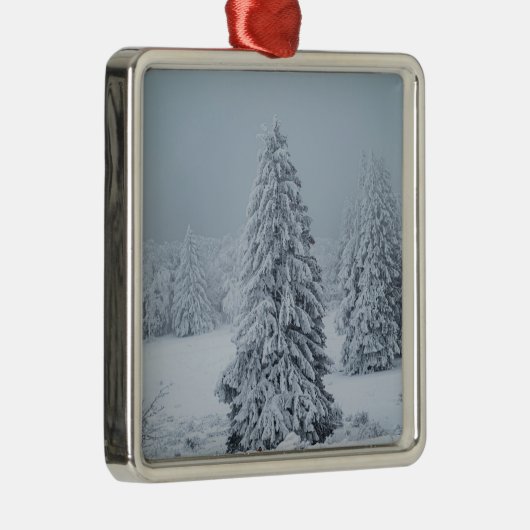IJs en sneeuw | Hout, Zwitserse Alpen Metalen Ornament (Rechts)