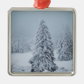 IJs en sneeuw | Hout, Zwitserse Alpen Metalen Ornament (Voorkant)