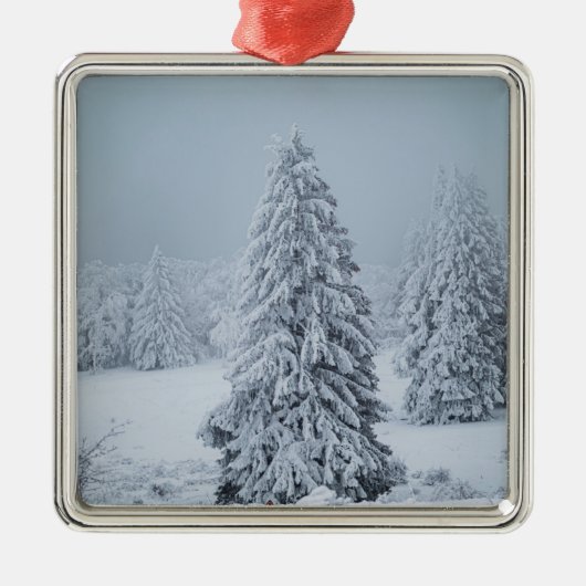 IJs en sneeuw | Hout, Zwitserse Alpen Metalen Ornament (Voorkant)