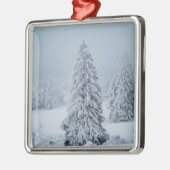 IJs en sneeuw | Hout, Zwitserse Alpen Metalen Ornament (Links)
