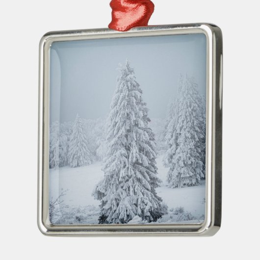 IJs en sneeuw | Hout, Zwitserse Alpen Metalen Ornament (Links)