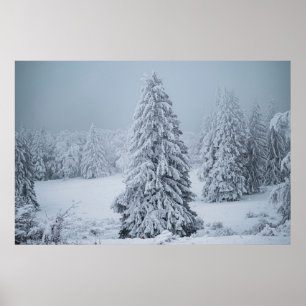 IJs en sneeuw Hout, Zwitserse Alpen Poster