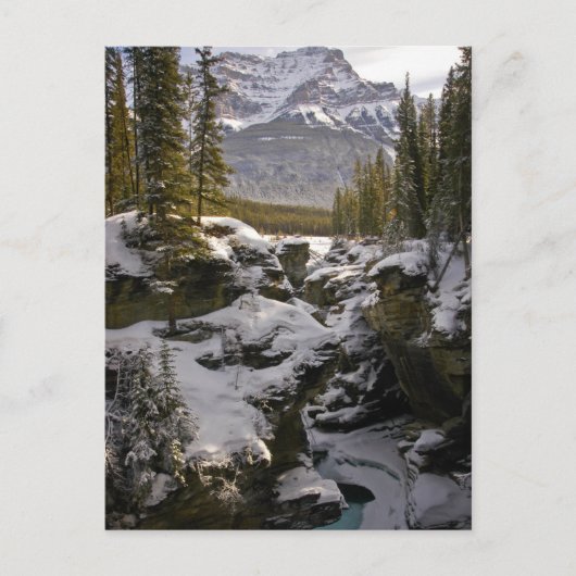 IJs en sneeuw | Jasper National Park Alberta, Cana Briefkaart (Voorkant)