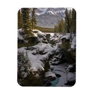 IJs en sneeuw Jasper National Park Alberta, Cana Magneet