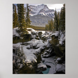 IJs en sneeuw Jasper National Park Alberta, Cana Poster