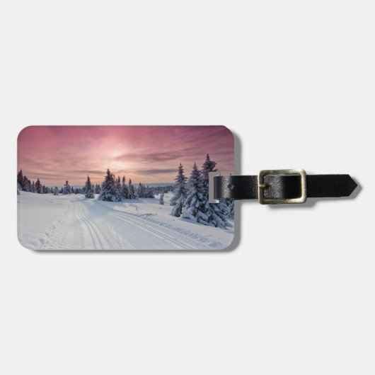 IJs en sneeuw | Lillehammer, Noorwegen Bagagelabel (Voorkant horizontaal)