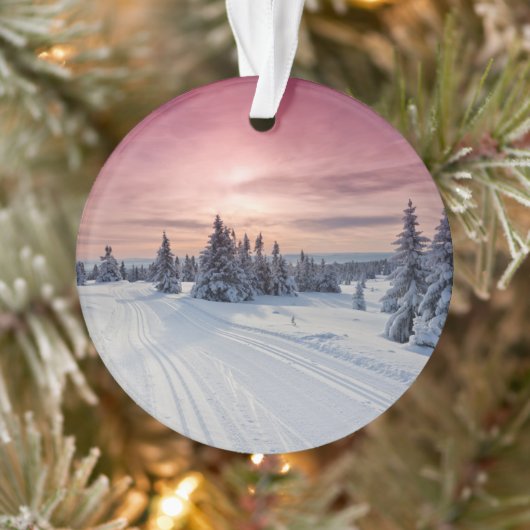 IJs en sneeuw | Lillehammer, Noorwegen Ornament (Boom)