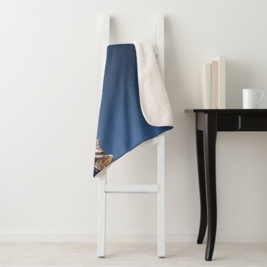 IJs en sneeuw | Milky Way Baltoro Glacier, Pakista Sherpa Deken (In situ)