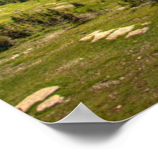 IJs en sneeuw | Nationaal park Glacier, Montana Poster (Hoek)