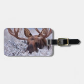 IJs en sneeuw | Nationaal park Grand Teton, Wyomin Bagagelabel (Voorkant horizontaal)