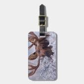 IJs en sneeuw | Nationaal park Grand Teton, Wyomin Bagagelabel (Voorkant verticaal)