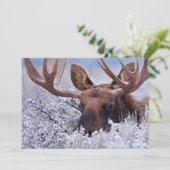 IJs en sneeuw | Nationaal park Grand Teton, Wyomin Bedankkaart (Staand voorkant)