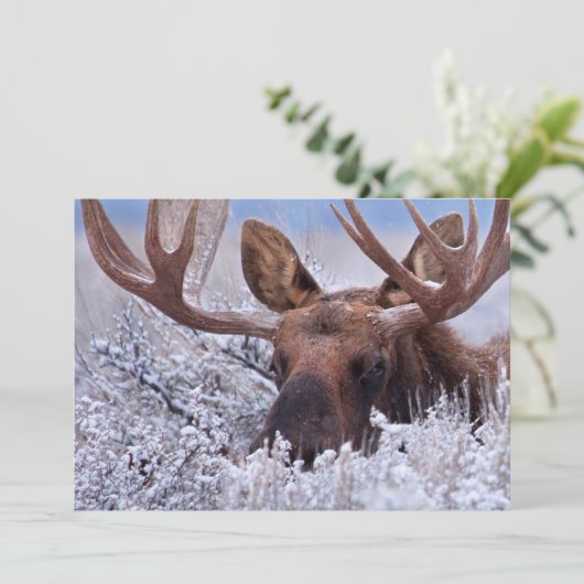 IJs en sneeuw | Nationaal park Grand Teton, Wyomin Bedankkaart (Staand voorkant)