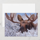 IJs en sneeuw | Nationaal park Grand Teton, Wyomin Bedankkaart (Voorkant / Achterkant)