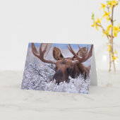 IJs en sneeuw | Nationaal park Grand Teton, Wyomin Kaart (Gele Bloem)