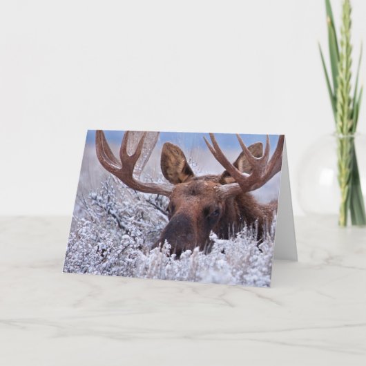 IJs en sneeuw | Nationaal park Grand Teton, Wyomin Kaart (Voorkant)