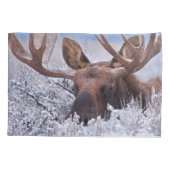 IJs en sneeuw | Nationaal park Grand Teton, Wyomin Kussensloop (Achterkant)