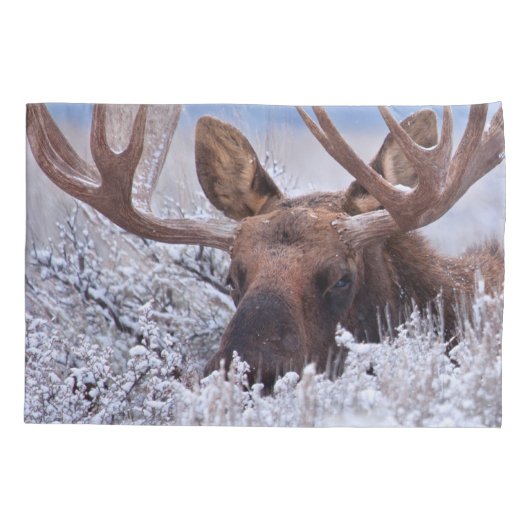 IJs en sneeuw | Nationaal park Grand Teton, Wyomin Kussensloop (Achterkant)