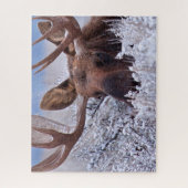 IJs en sneeuw | Nationaal park Grand Teton, Wyomin Legpuzzel (Verticaal)