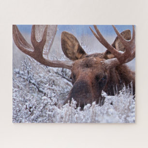 IJs en sneeuw   Nationaal park Grand Teton, Wyomin Legpuzzel