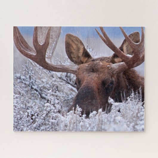 IJs en sneeuw | Nationaal park Grand Teton, Wyomin Legpuzzel (Horizontaal)