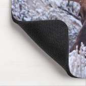 IJs en sneeuw | Nationaal park Grand Teton, Wyomin Muismat (Hoek)