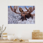 IJs en sneeuw | Nationaal park Grand Teton, Wyomin Poster (Keuken)