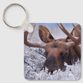 IJs en sneeuw | Nationaal park Grand Teton, Wyomin Sleutelhanger (Voorkant)