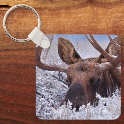 IJs en sneeuw | Nationaal park Grand Teton, Wyomin Sleutelhanger (Voorkant)