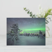 IJs en sneeuw | Nationaal park Pallas-Yllastunturi Bedankkaart (Staand voorkant)