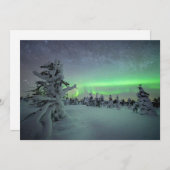 IJs en sneeuw | Nationaal park Pallas-Yllastunturi Bedankkaart (Voorkant / Achterkant)