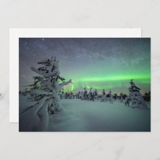 IJs en sneeuw | Nationaal park Pallas-Yllastunturi Bedankkaart (Voorkant / Achterkant)