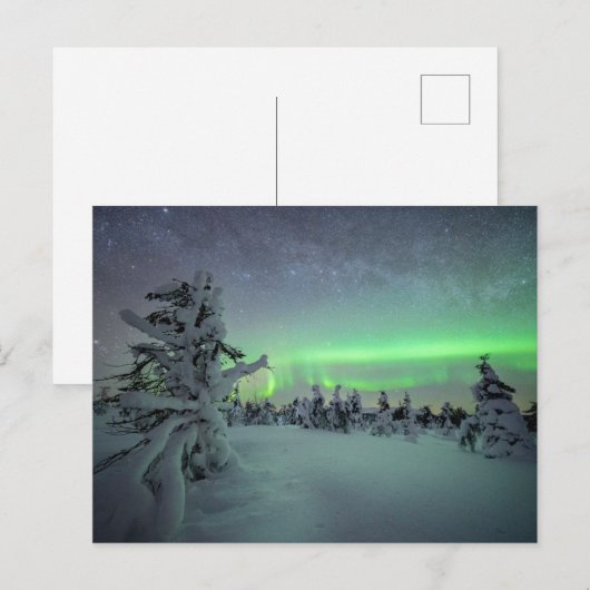 IJs en sneeuw | Nationaal park Pallas-Yllastunturi Briefkaart (Voorkant / Achterkant)