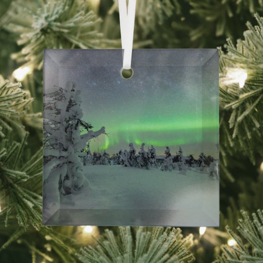 IJs en sneeuw | Nationaal park Pallas-Yllastunturi Glas Ornament (Insitu)