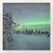 IJs en sneeuw | Nationaal park Pallas-Yllastunturi Glazen Onderzetter (Voorkant)